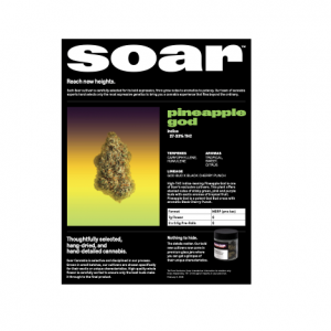 Soar - Pineapple God digital info sheet
